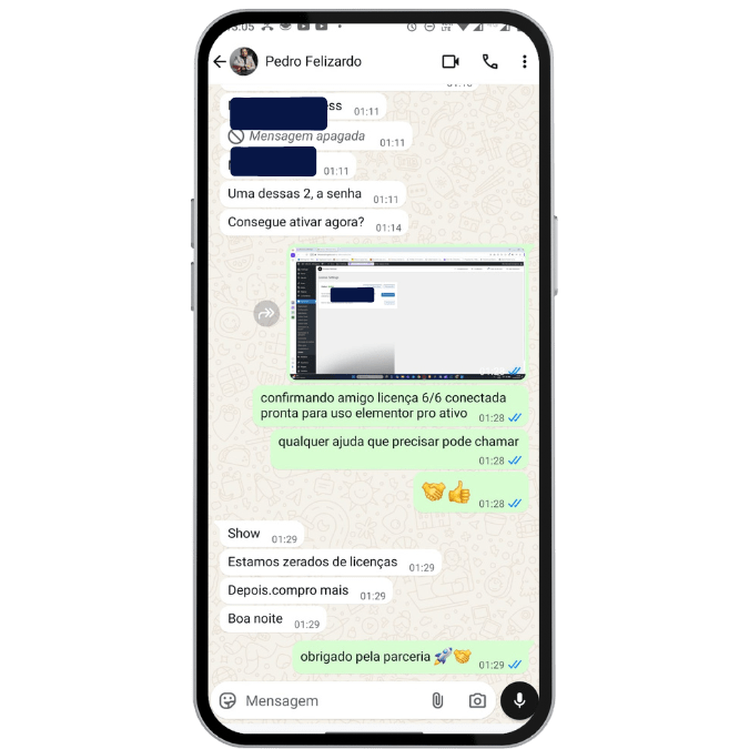 elementor - elementor pro